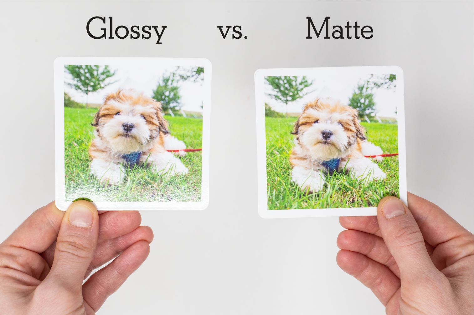 What is the difference between glossy and matte sticker paper?